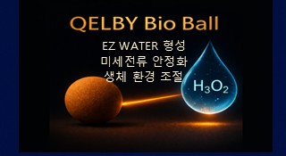 캘비 바이오 볼