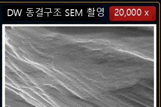 일반 증류수 (대조)