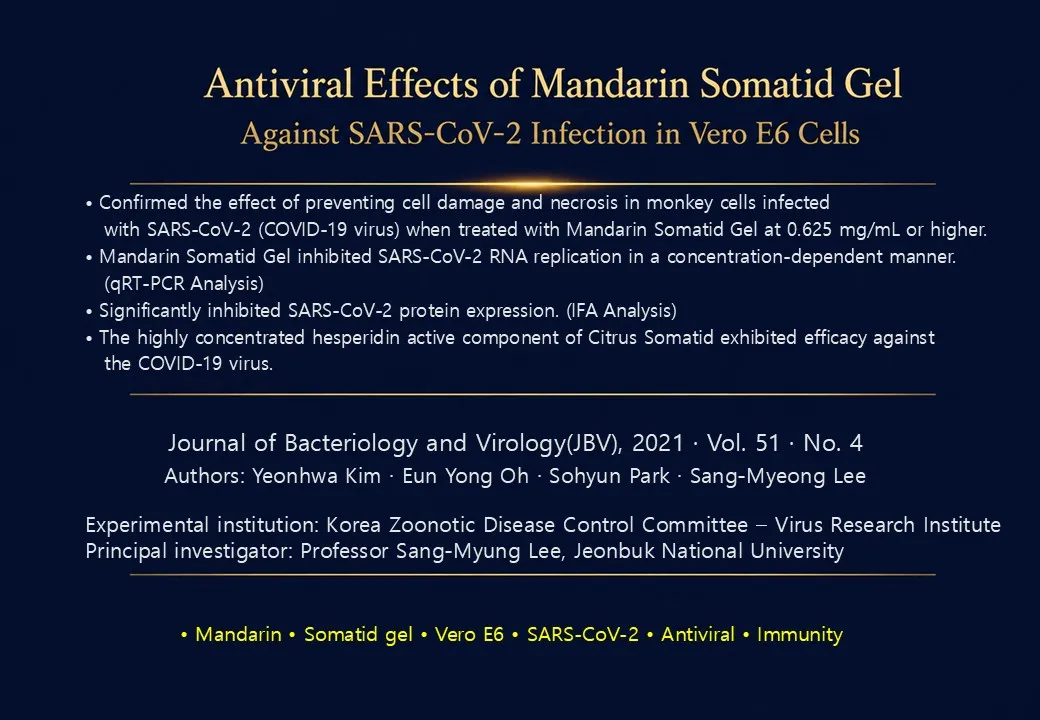 Slide 88