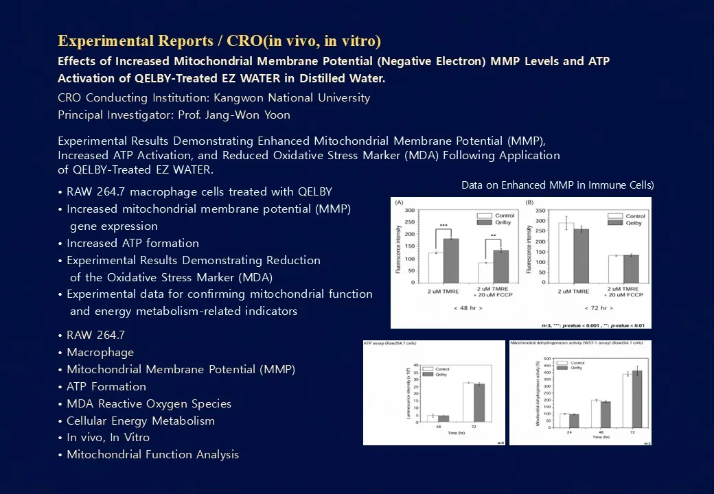 Slide 93