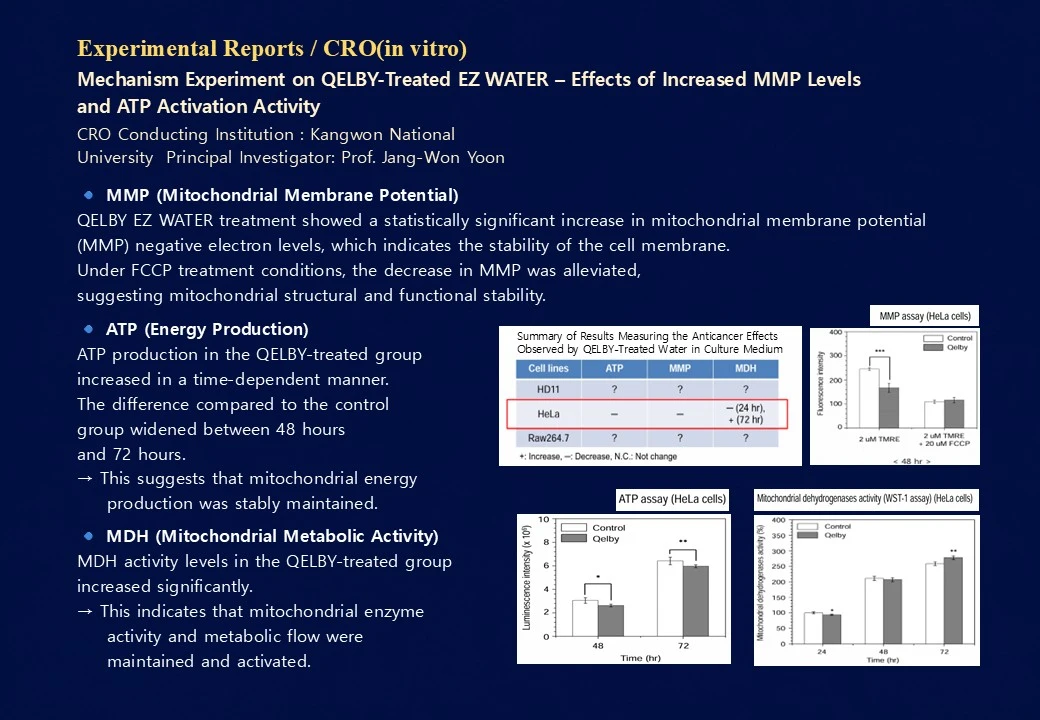 Slide 94