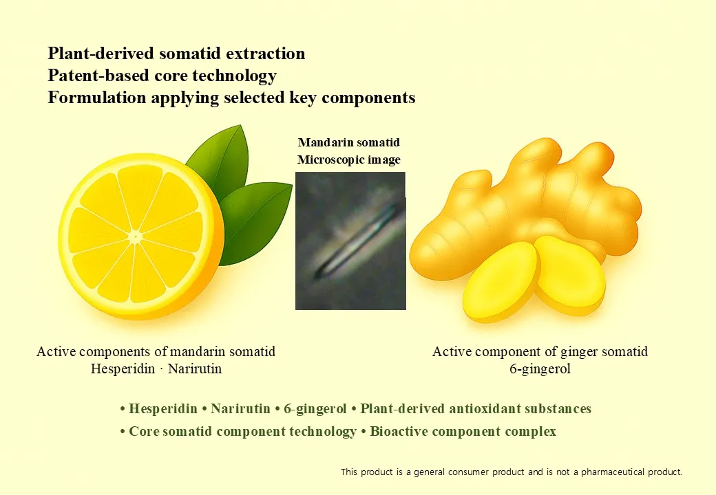 Slide 159