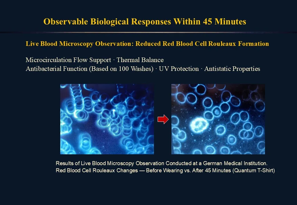 Slide 172