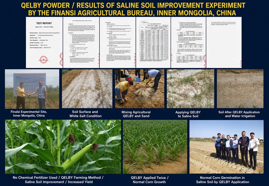 Slide 197