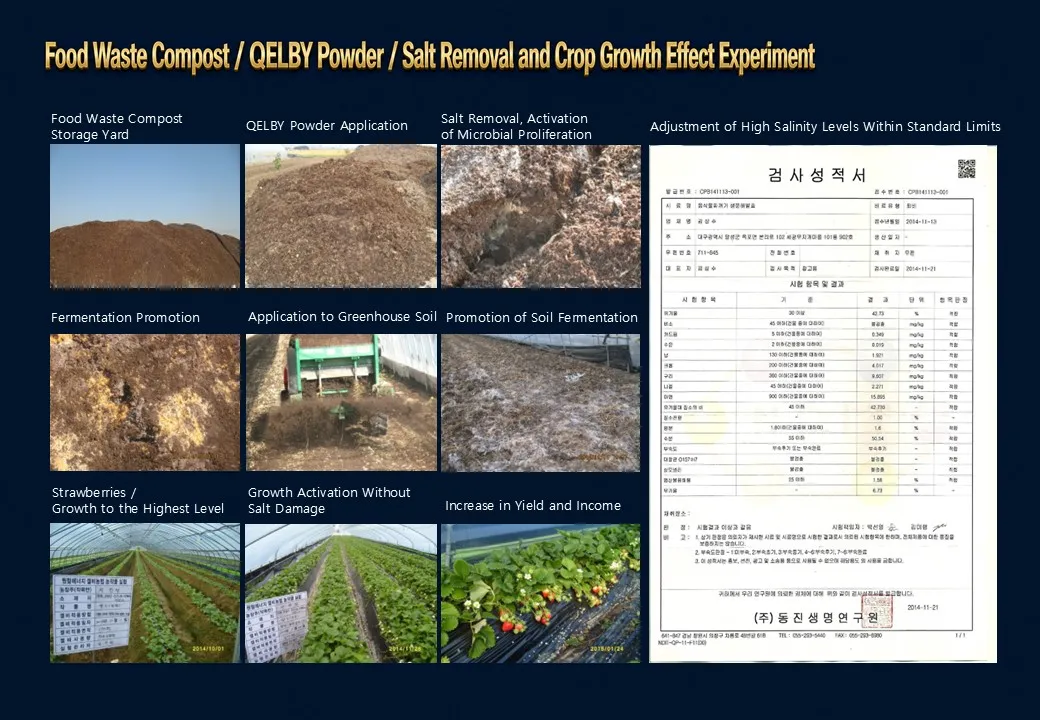 Slide 205