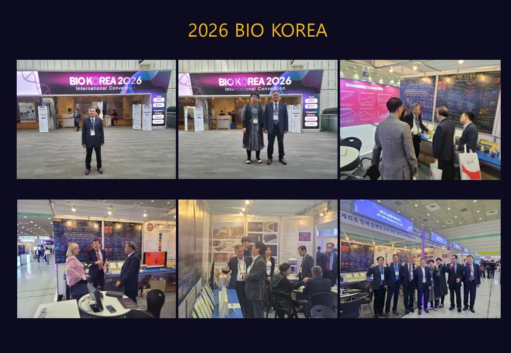 Slide 240