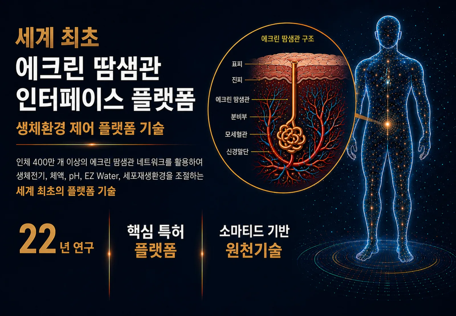 슬라이드 43
