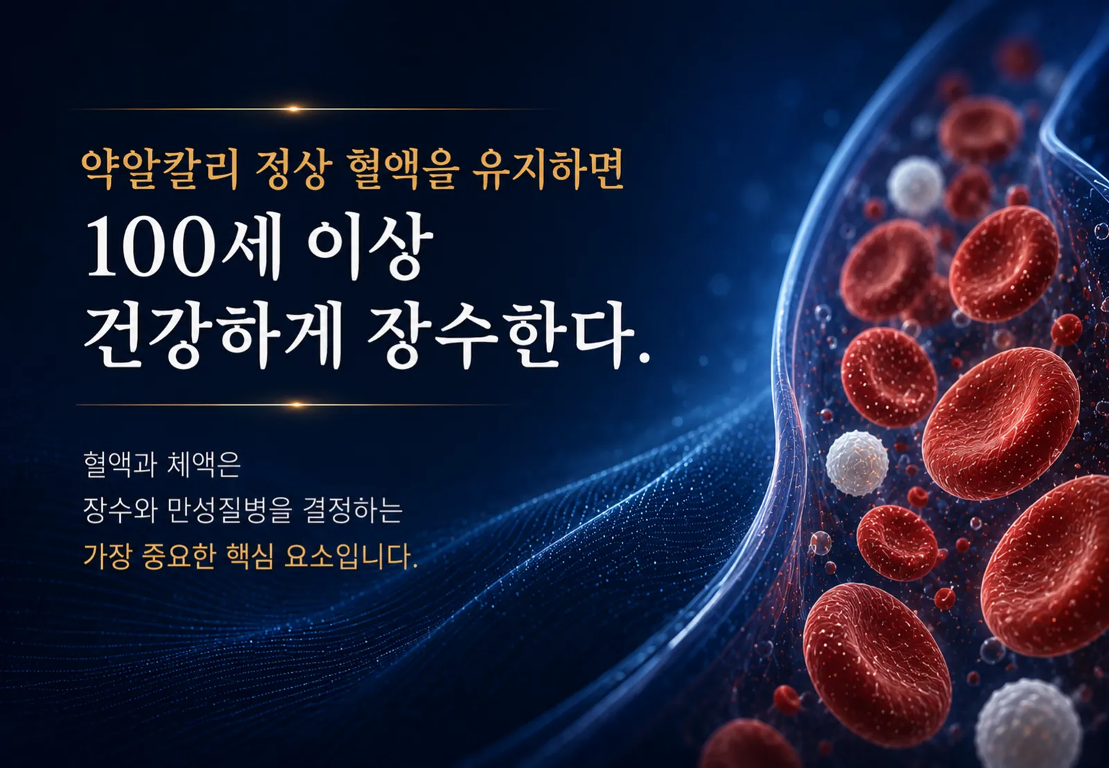 슬라이드 47