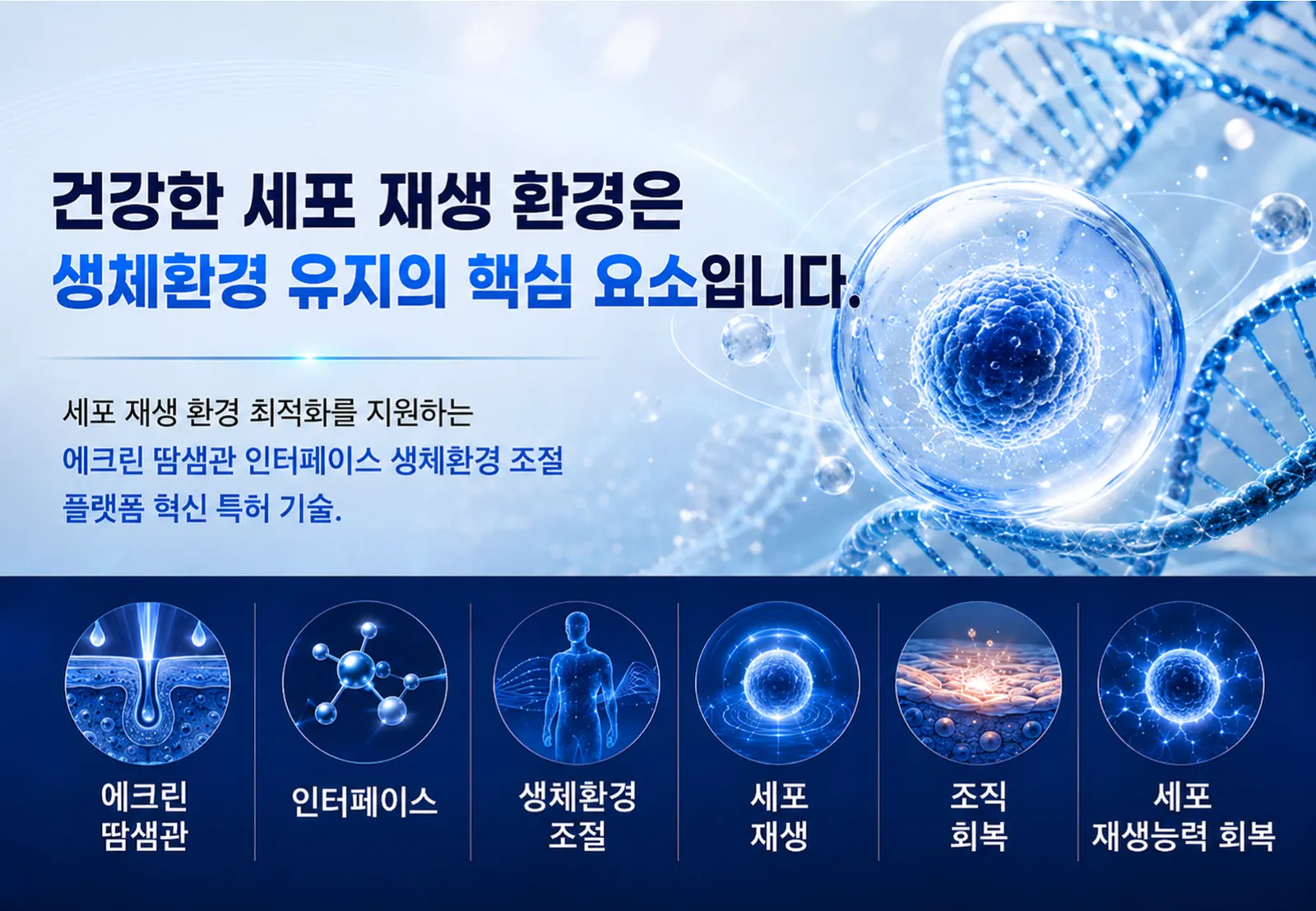 슬라이드 51