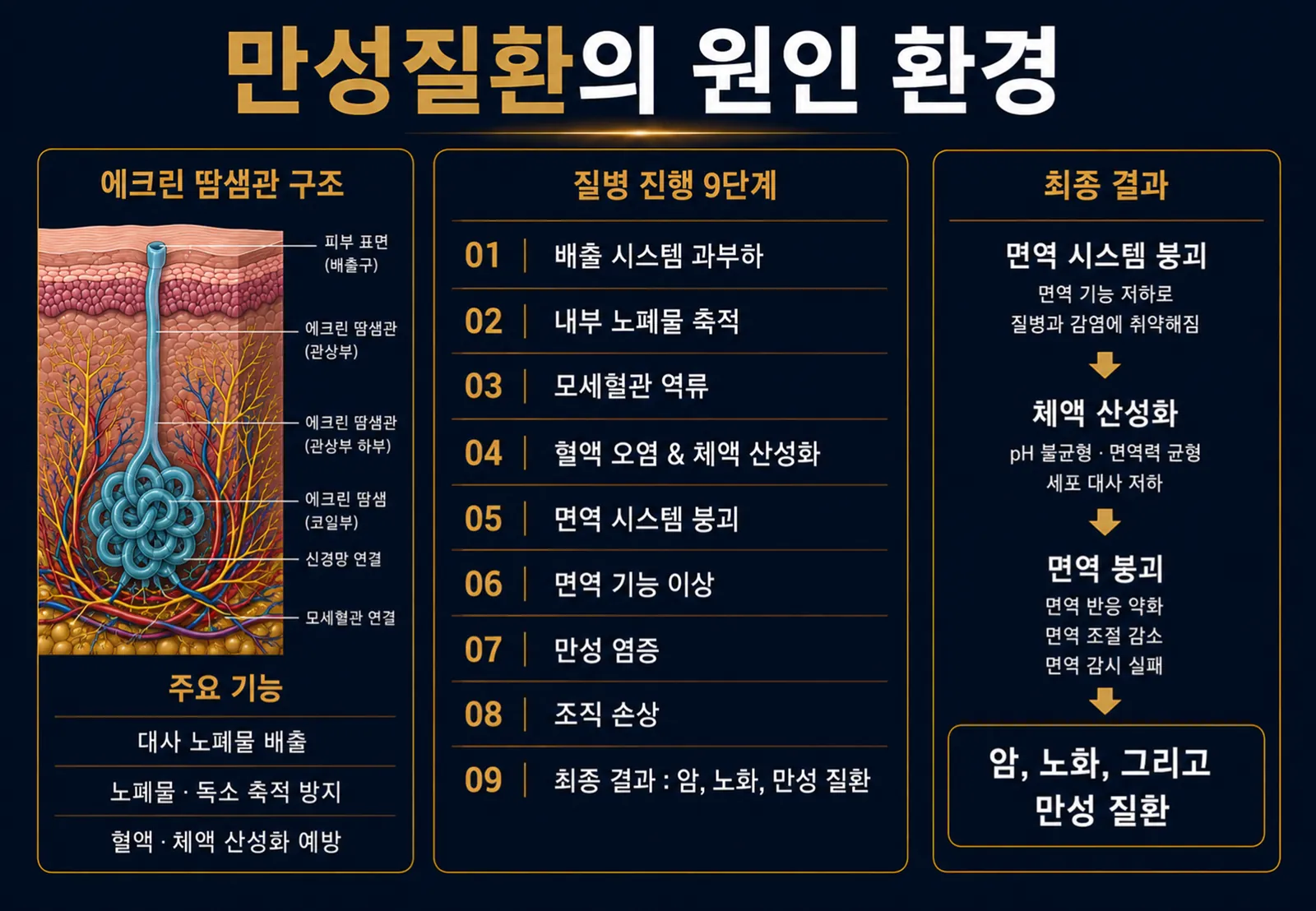 슬라이드 55