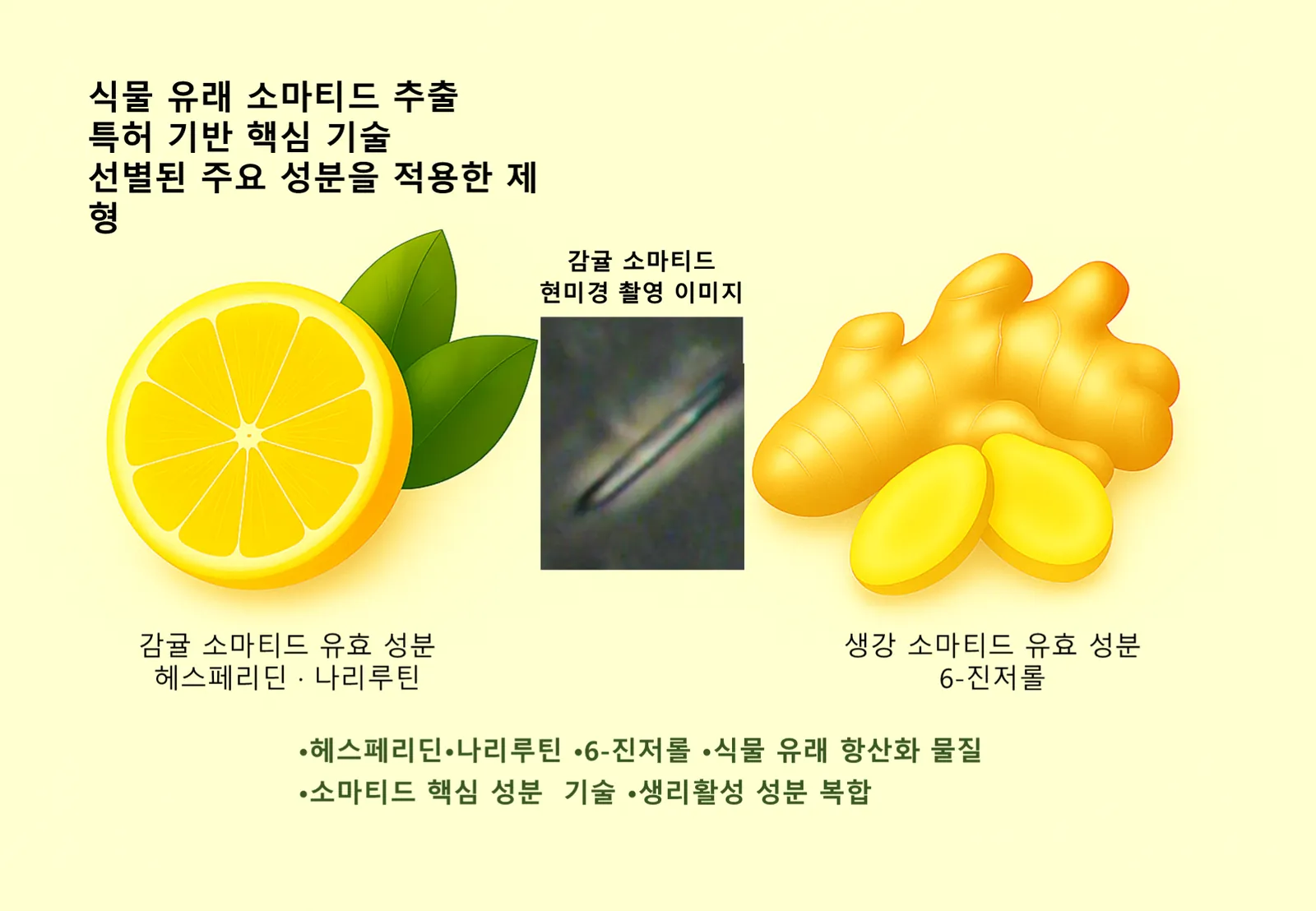 슬라이드 162