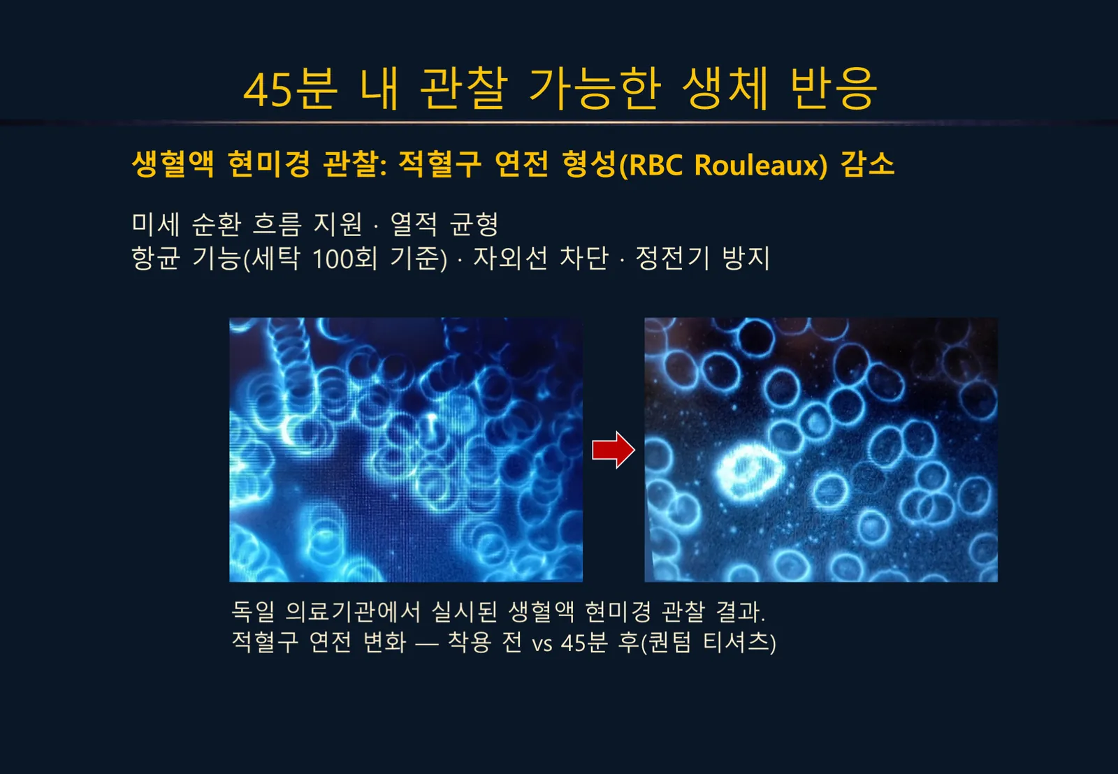 슬라이드 175
