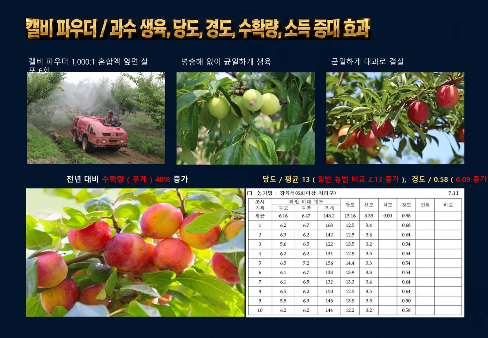 슬라이드 201