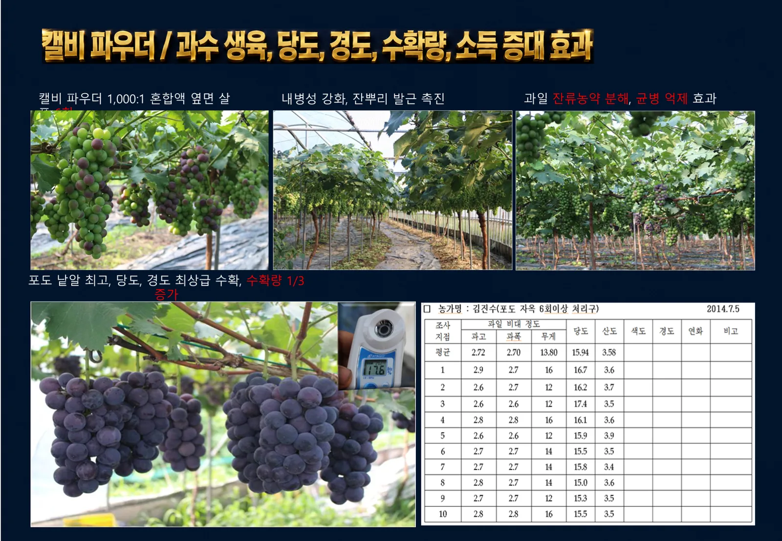 슬라이드 202