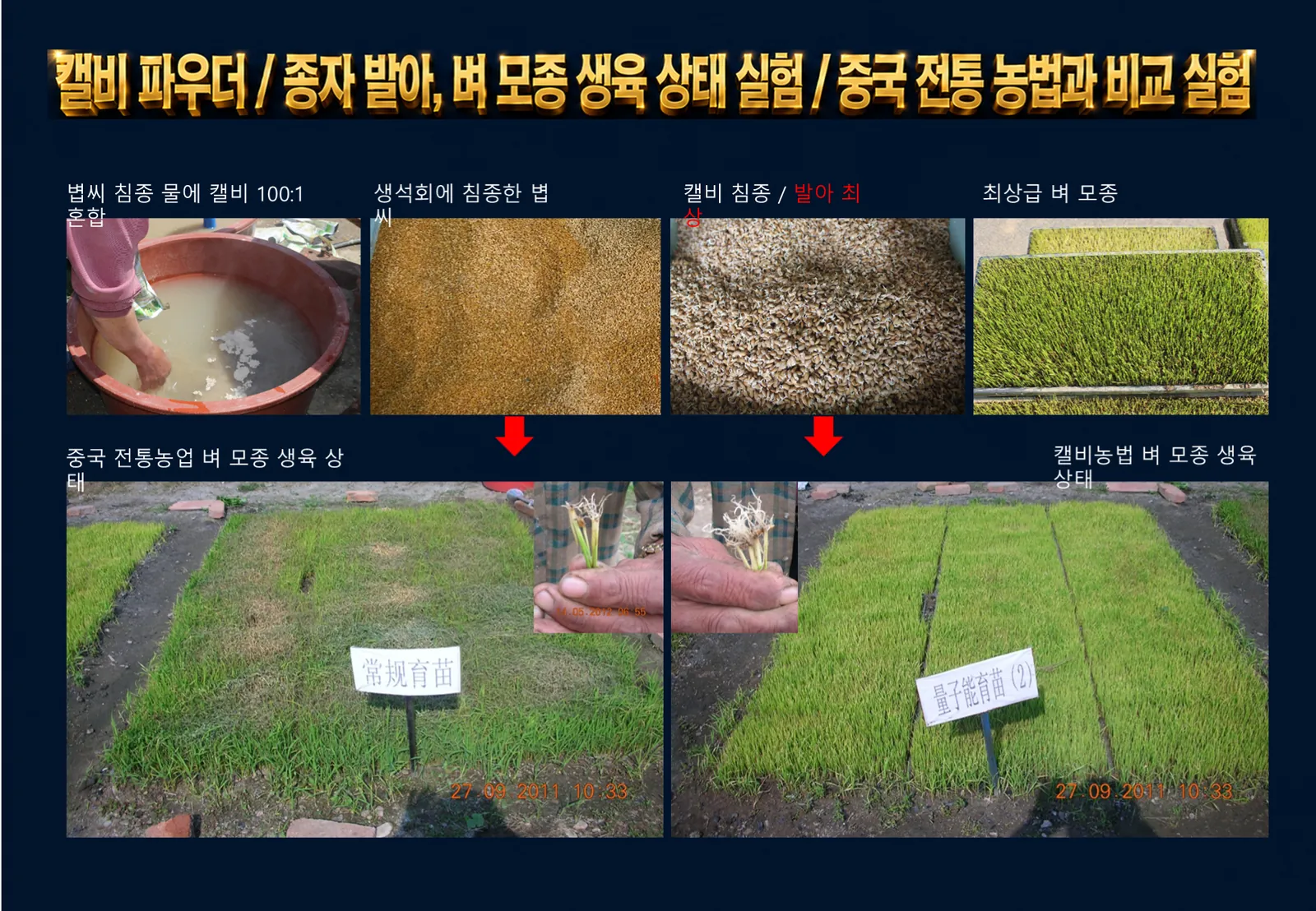 슬라이드 203