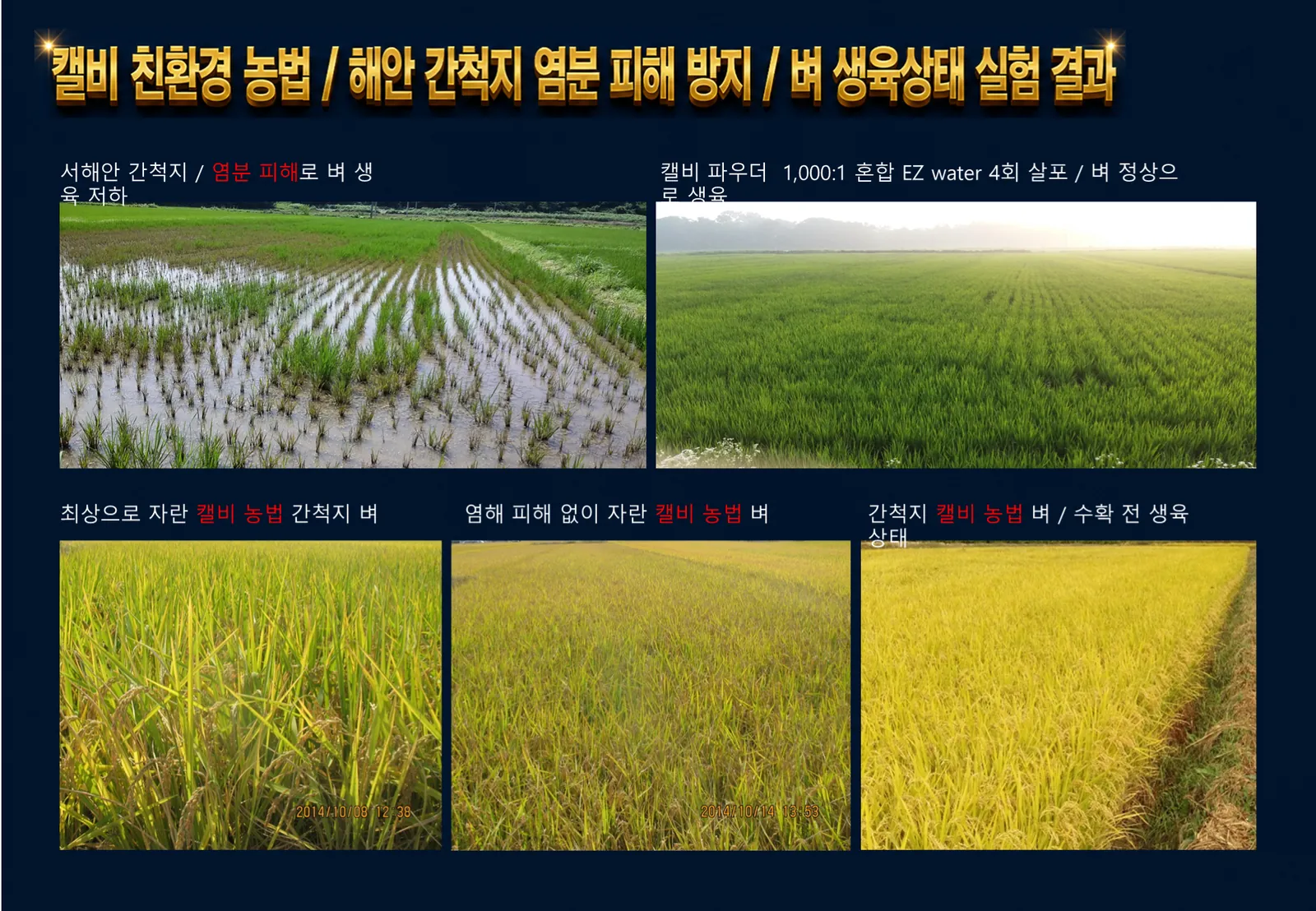 슬라이드 205