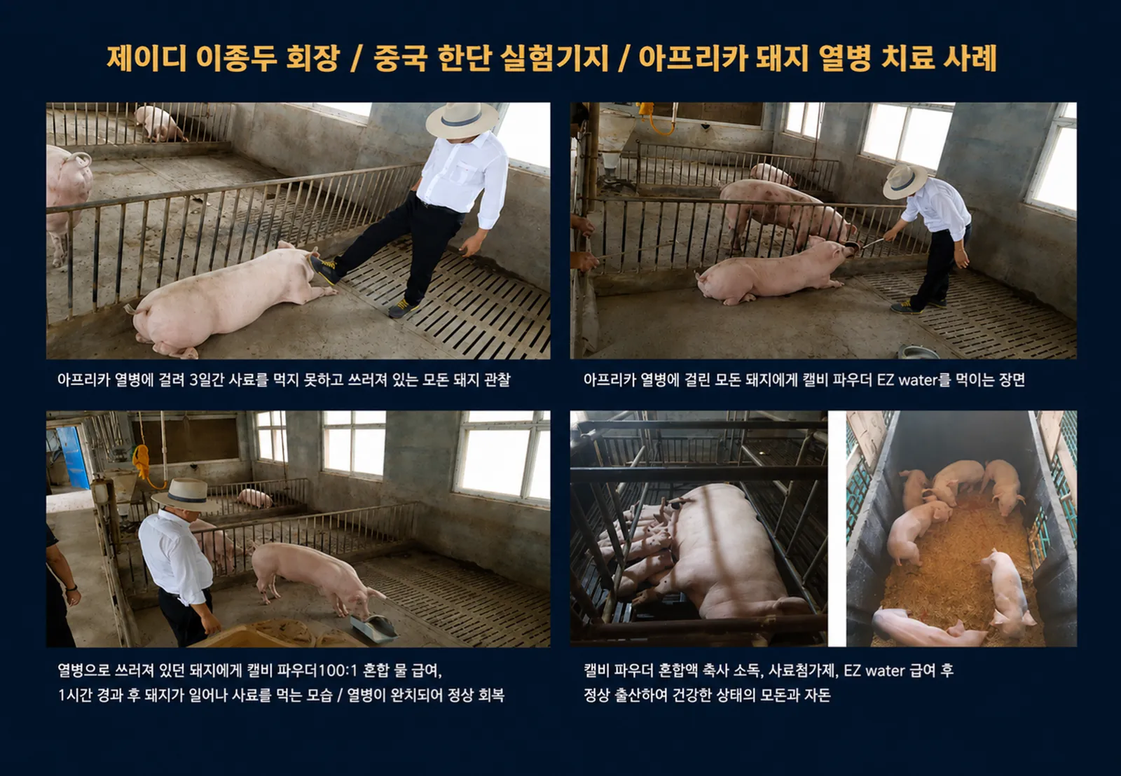 슬라이드 211