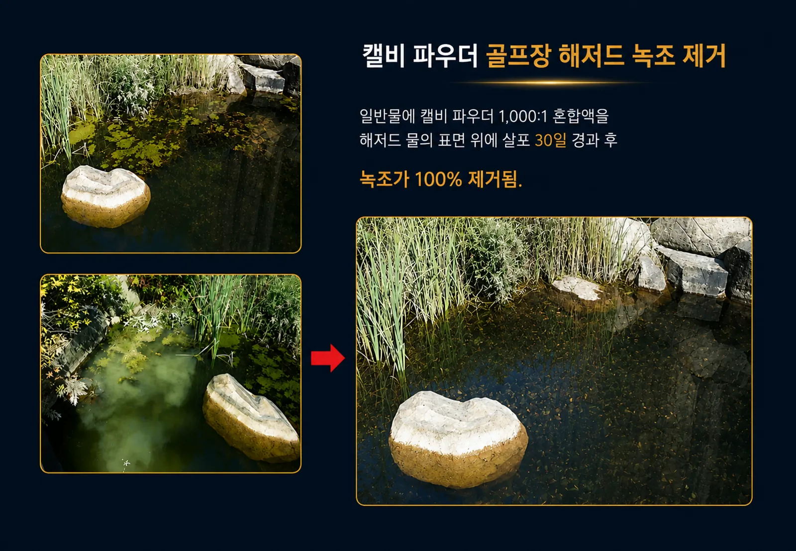 수처리