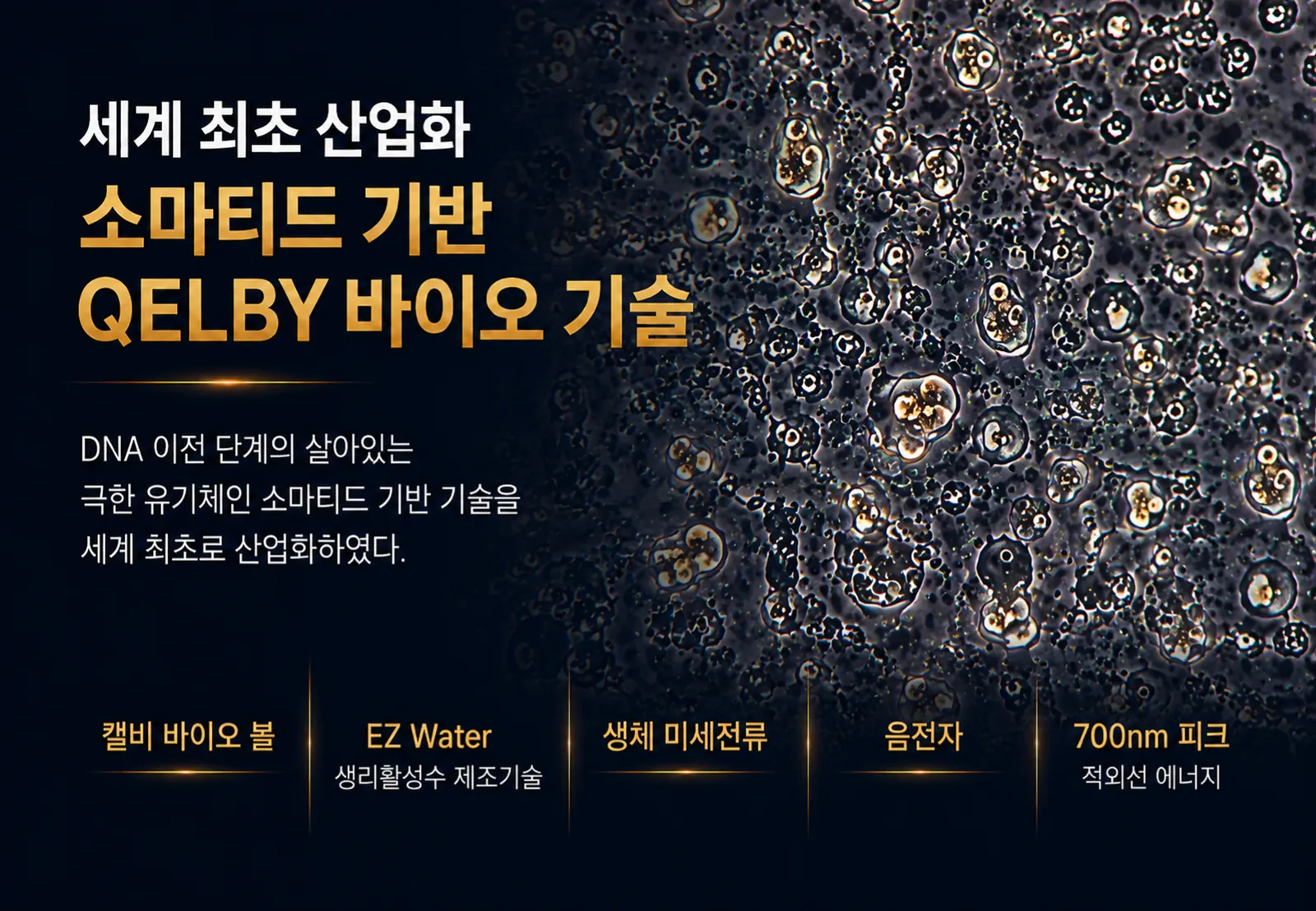 슬라이드 233